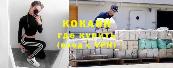 шишки Михайловка