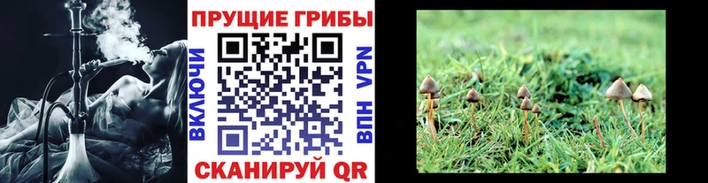 купить наркотик  мега tor  Псилоцибиновые грибы Cubensis  Нарьян-Мар 