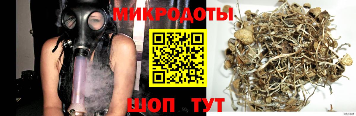 Галлюциногенные грибы GOLDEN TEACHER  Вход с VPN  Нарьян-Мар 