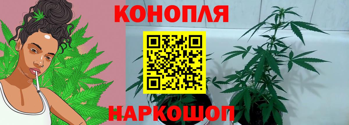 Канабис планчик Нарьян-Мар